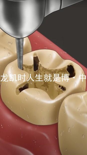 尊龙凯时人生就是博·中国