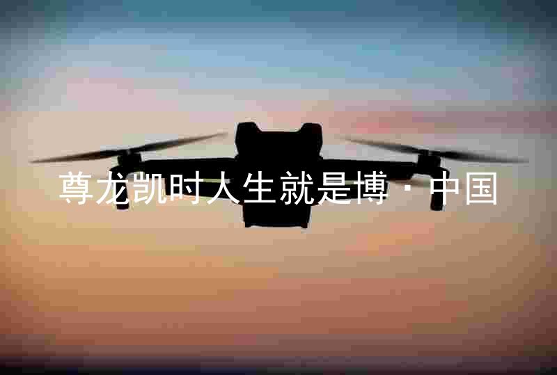 尊龙凯时人生就是博·中国